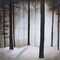 Winter Solace Poster Print by Patrick St.Germain - Item # VARPDX4067